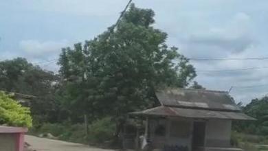 For Sale Tanah Eksklusif di Parung Panjang, Bogor, LT 13000m²