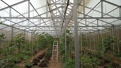 Dijual Tanah Premium di Cibeber, Cilegon, LT 7714m²