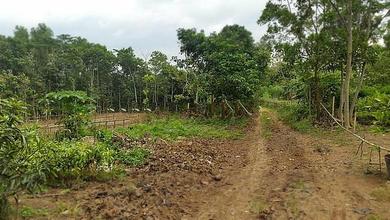 Kavling Prestisius Dijual di Tangerang Kota, Tangerang, Harga 5133 Triliun